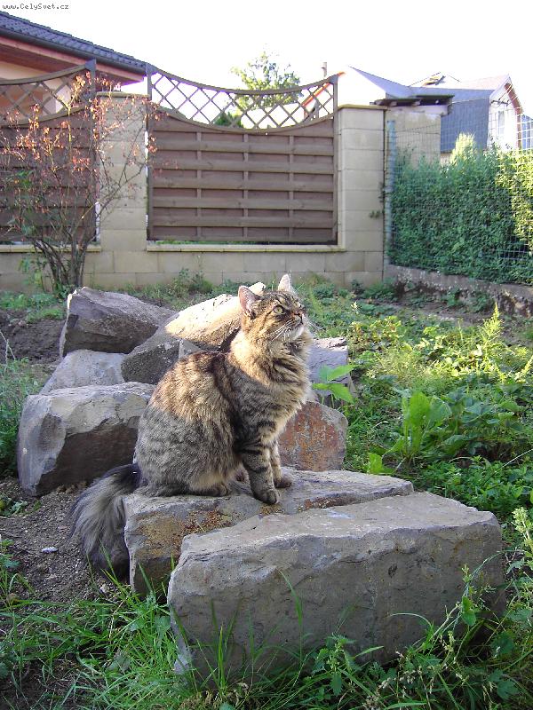 Foto: Minu�ka-kouk�m