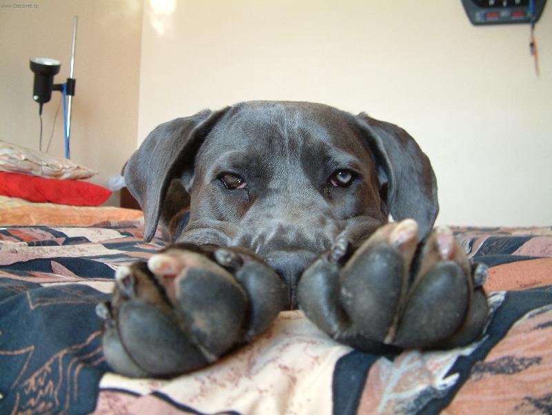 Foto: Enzo