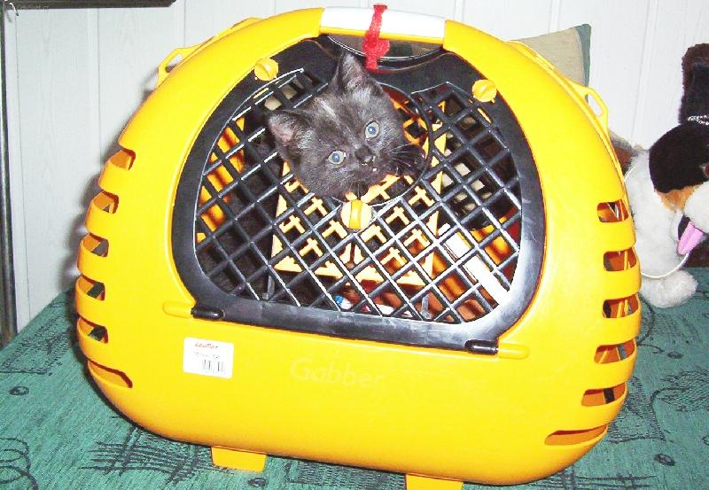 Foto: a stejn� ute�u!!!