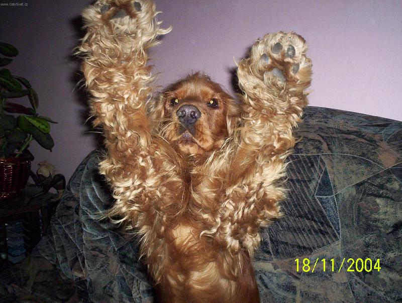 Foto: Keny-Pros�m,pros�m