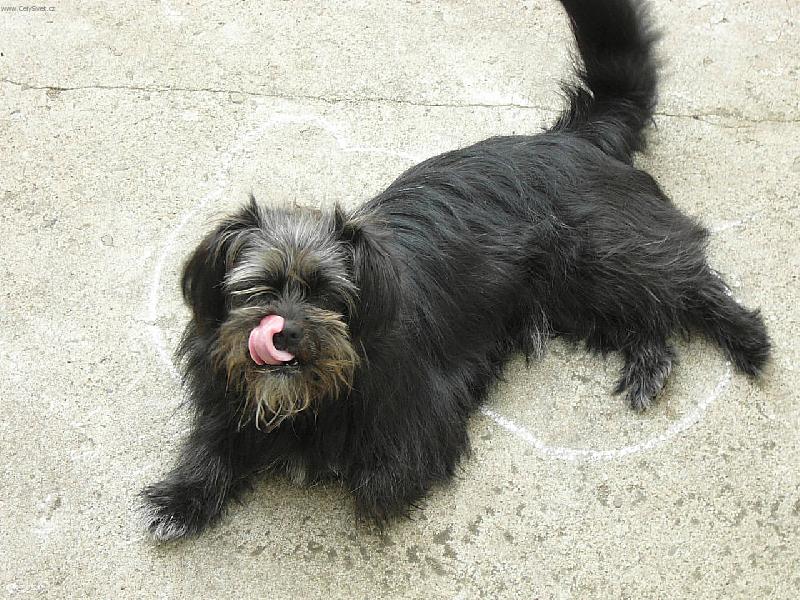 Foto: M�am-Prosila bych p�idavek :)