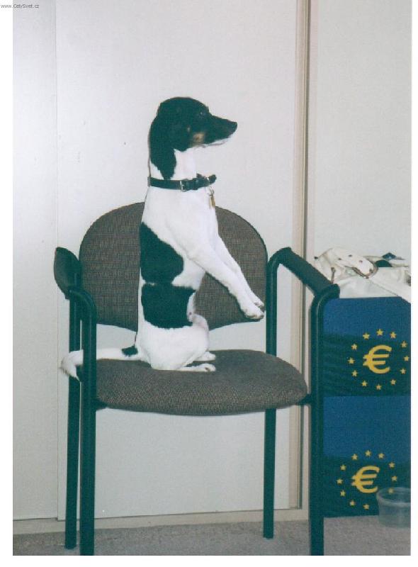 Foto: Vyndej mi to prav�tko!