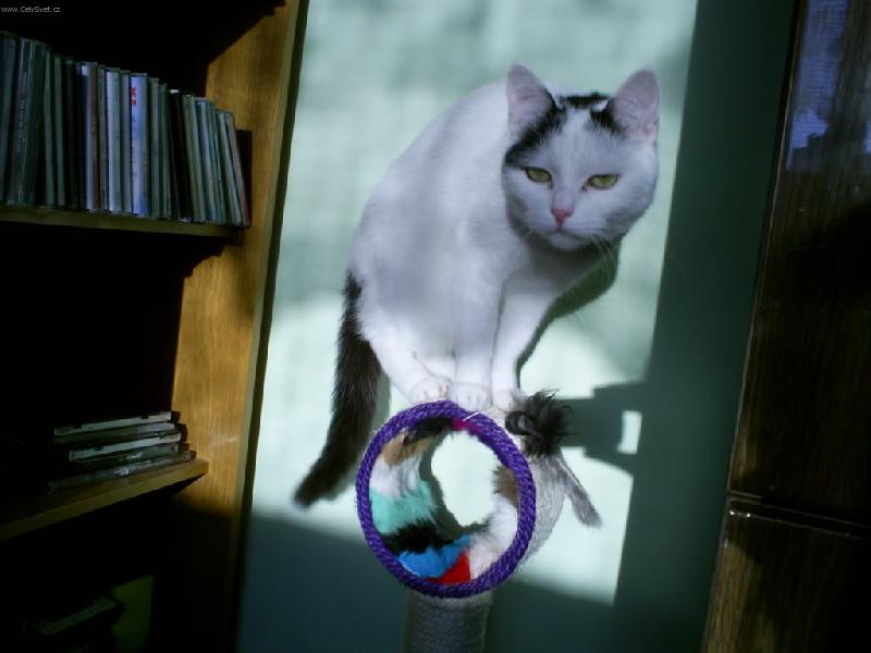 Foto: Pr�v� jsem vst�vala.