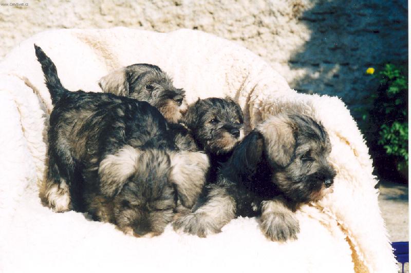 Foto: �t��ata kn�ra�e