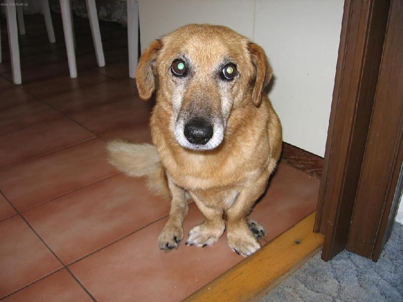 Foto: muuuuj mil��ek