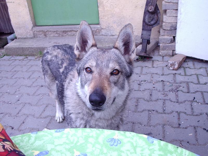 Foto: rita-hele leti ptacek