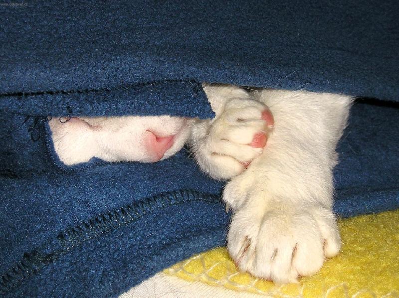 Foto: Neru�it, spink�m :-)