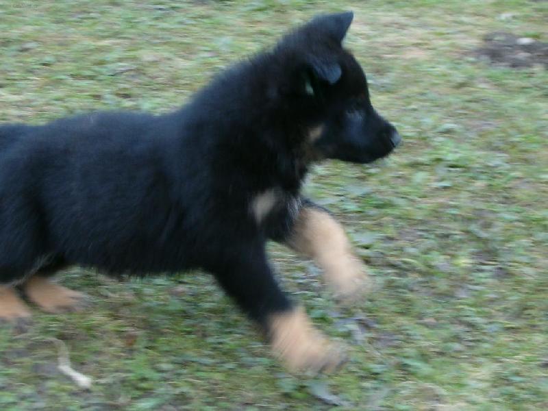 Foto: Pozor b��m!-www.polodr.info