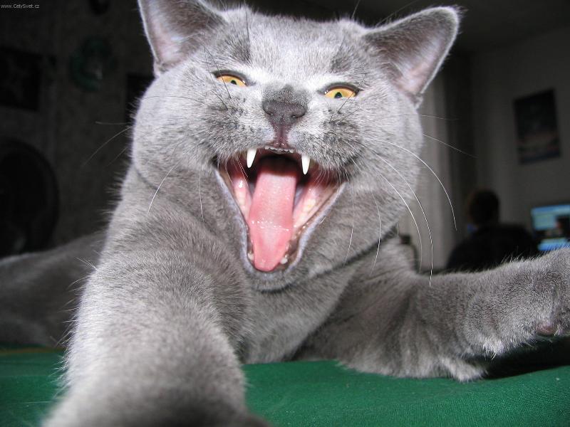 Foto: Lord