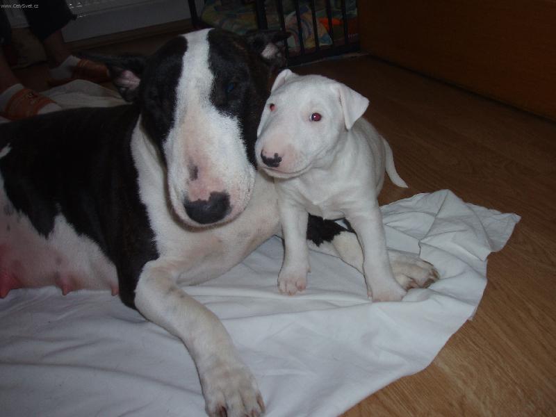 Foto: Velk� l�ska