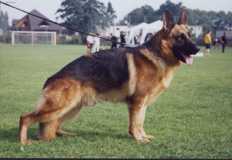 Foto: Fabio-Na v�stave   :o)