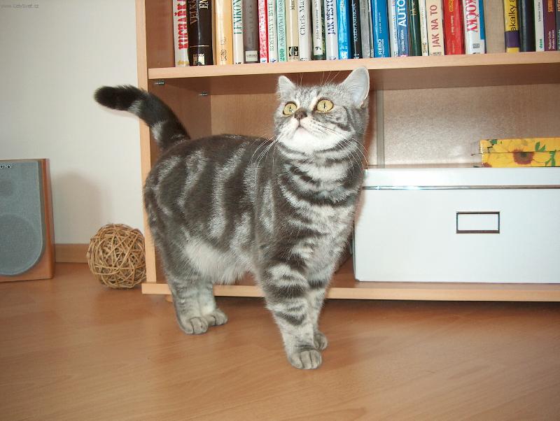 Foto: Copak se zase d�je?-D�da