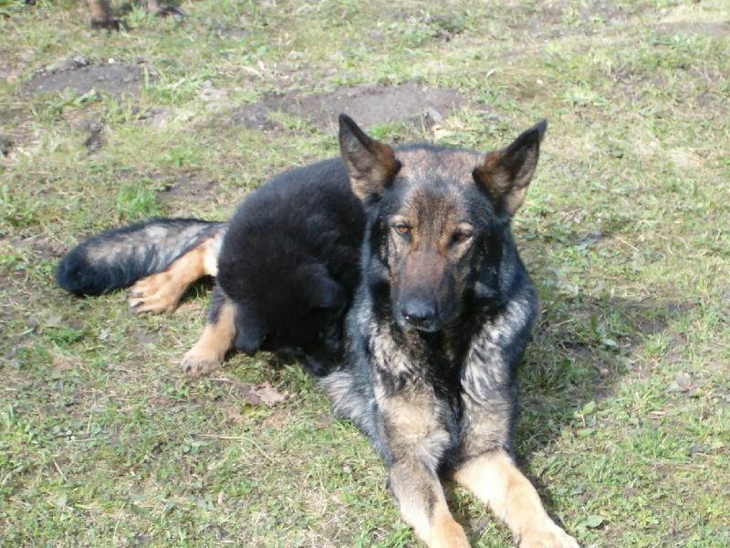 Foto: J� se na to ml��ko stejn� dostanu!!!