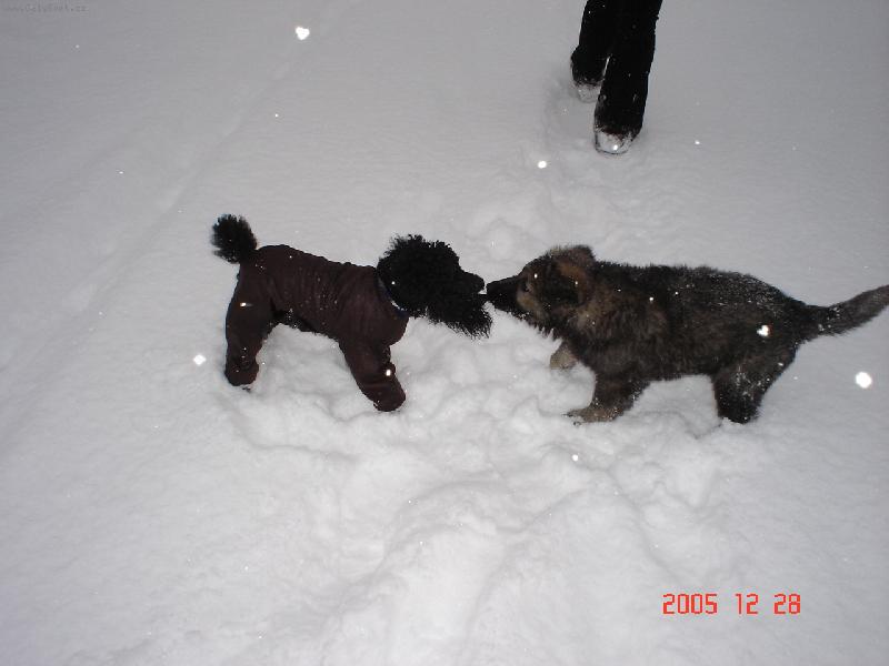 Foto: Tom a Ben-au to bol�.......