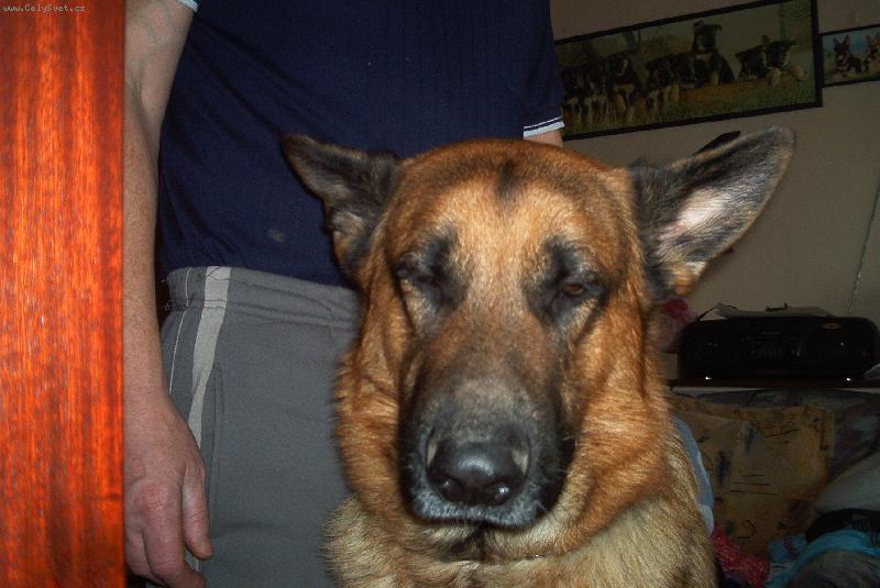 Foto: N� ba���ek-Pro� m� bud�te?