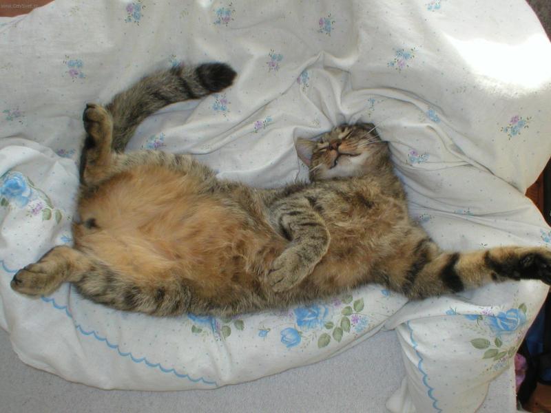 Foto: Mat�no-P�ece se nerozval�m ve sv�m...