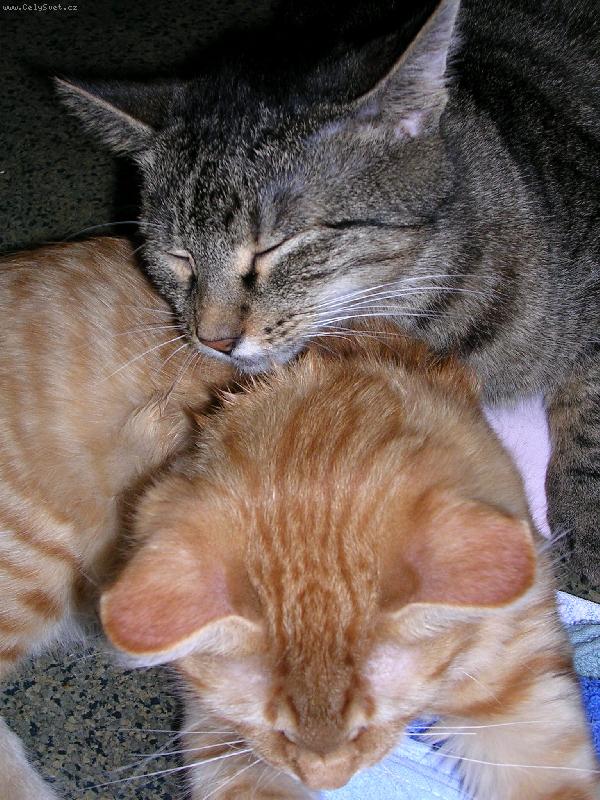 Foto: Odpo�inek-Nebudit!!