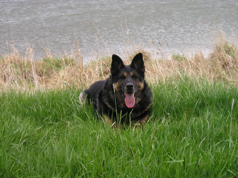 Foto: Brite�ek-U vody