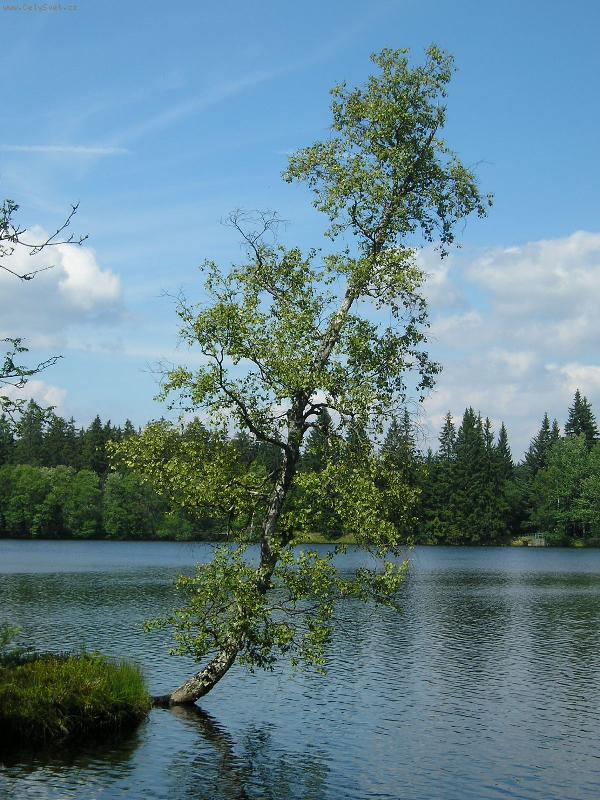 Foto: Kladsk�
