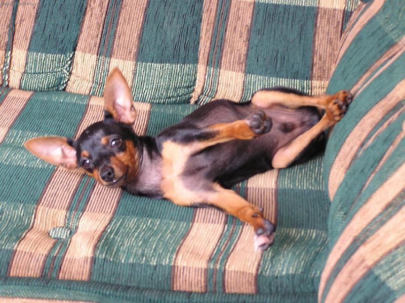 Foto: ROKY-Roky le��