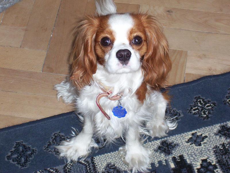 Foto: Sherry-L�bim se ti?