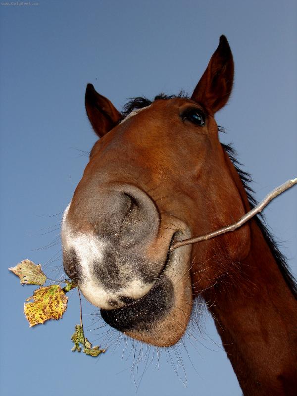 Foto: Nad n�mi lidmi...