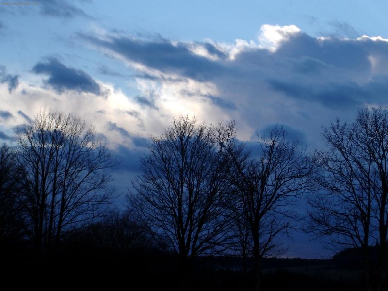 Foto: Divok� p��roda