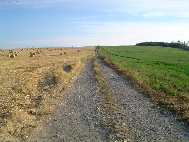 Foto: zem�d�lsk�