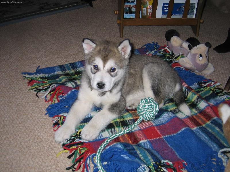 Foto: smutn� smutn� kouk�m