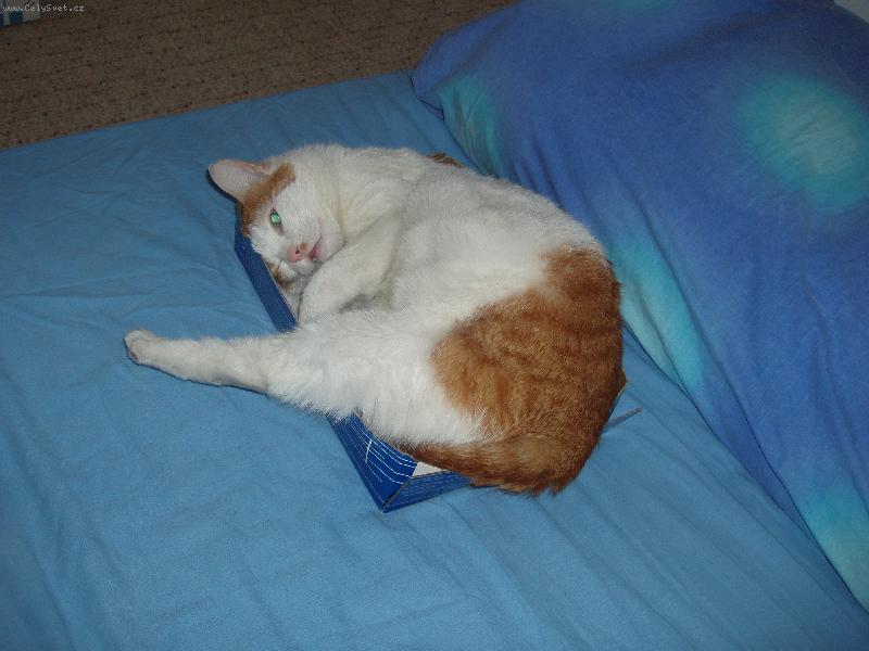 Foto: Je mi to mal�!!!