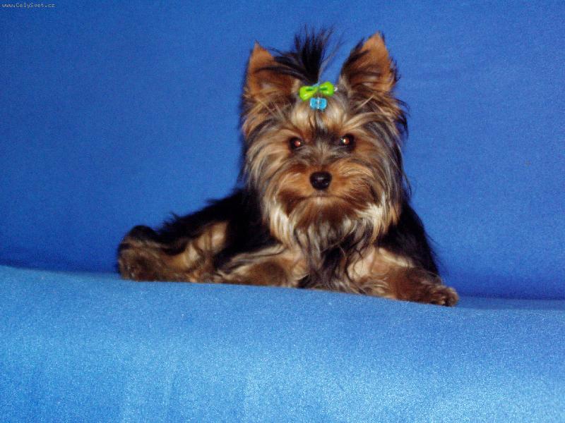 Foto: Jsem manek�n