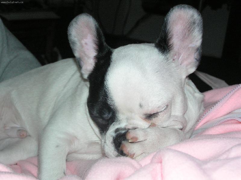 Foto: Monta-Nechte m� u� sp����t !!!