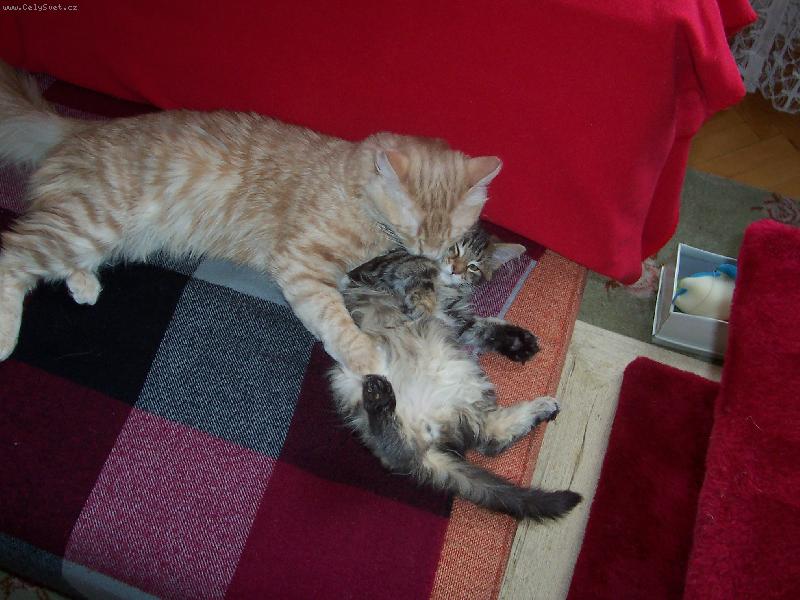 Foto: Tak moc se m�me r�di!