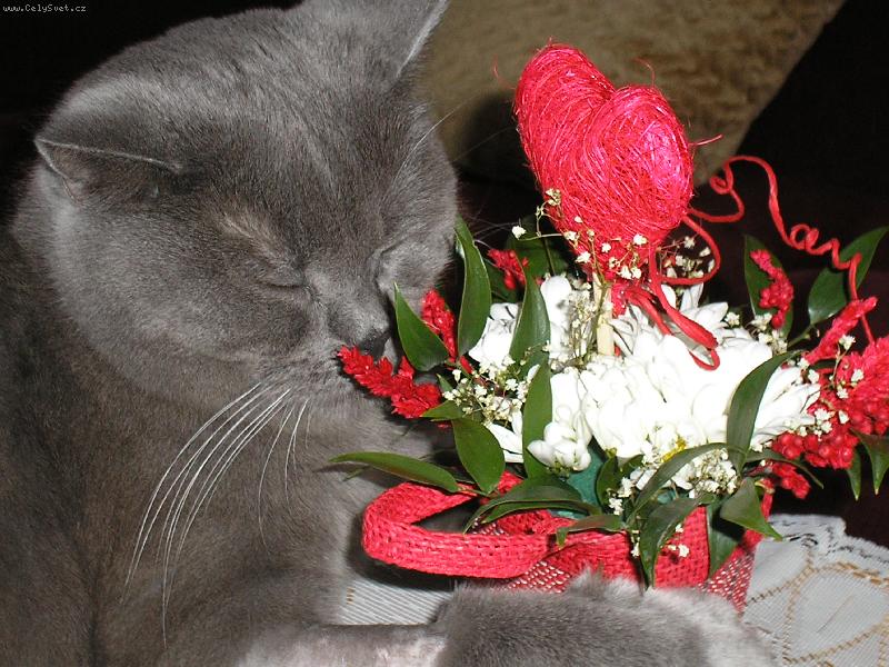 Foto: n� mil��ek