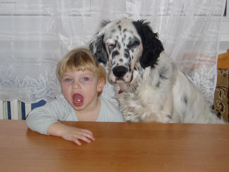 Foto: �ek�n� na ob�d-m�mo nefo� a nos na st�l