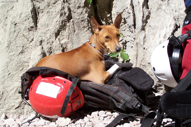 Foto: BBC aneb Basenj� Base Camp