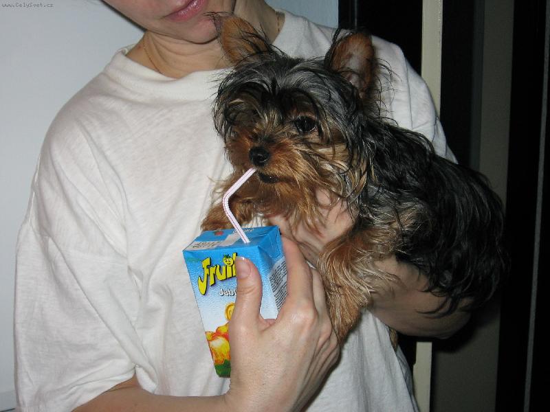 Foto: max-M�m ��ze�