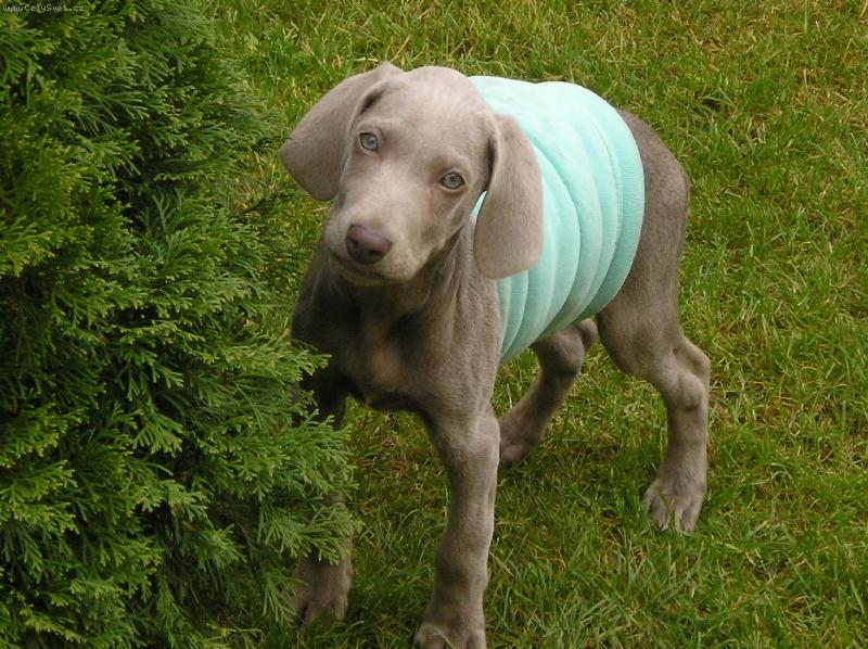 Foto: Sany-Je mi zima,no.