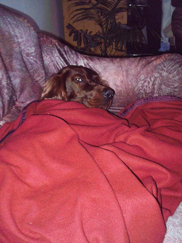 Foto: Neru�it pros�m-Ceasar