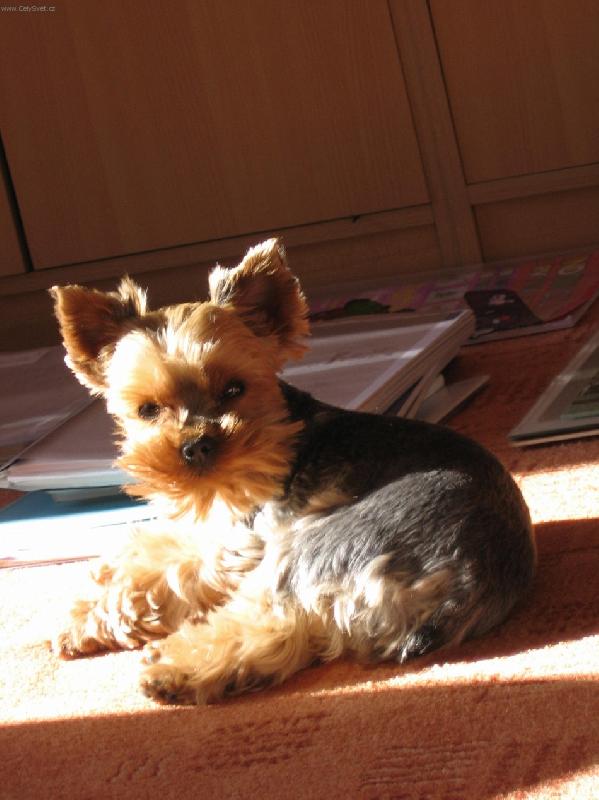 Foto: Vylet� pt��ek