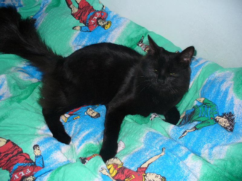 Foto: Mike�-Pohodi�ka