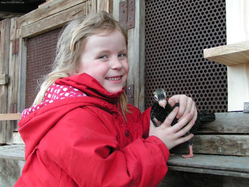 Foto: J� a indi�nek-Na dvorku