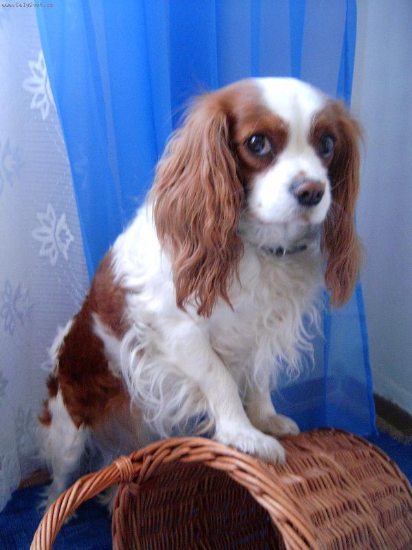 Foto: Luc����ek