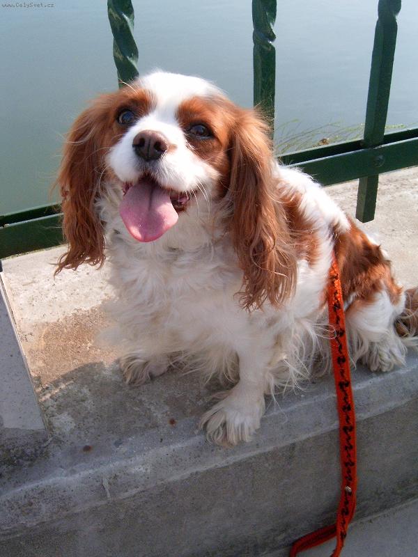 Foto: Luc����ek