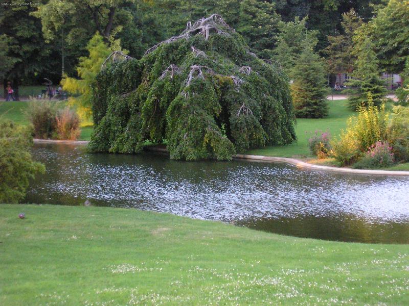 Foto: kr�sy Pa��e-proch�zka parkem