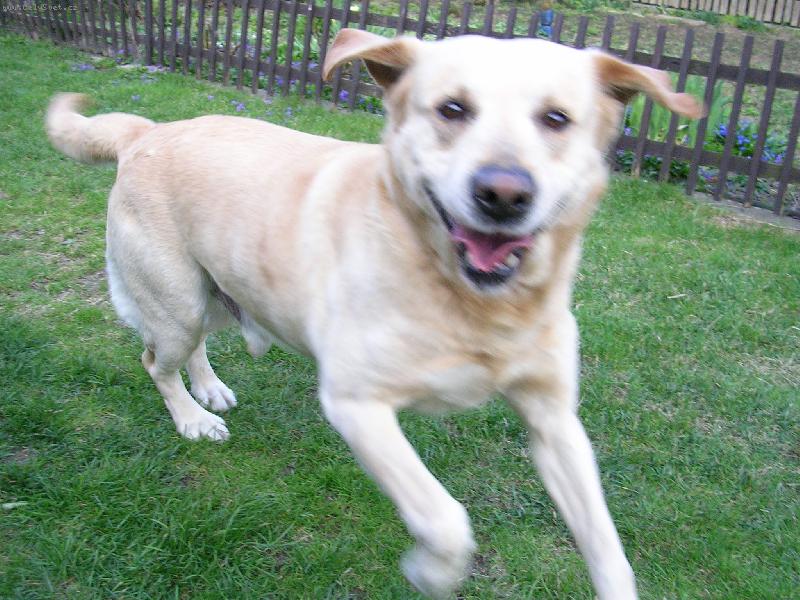 Foto: Rozevl�t� Sany :-)