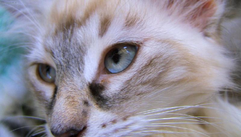 Foto: nebesk� pohled-B�da