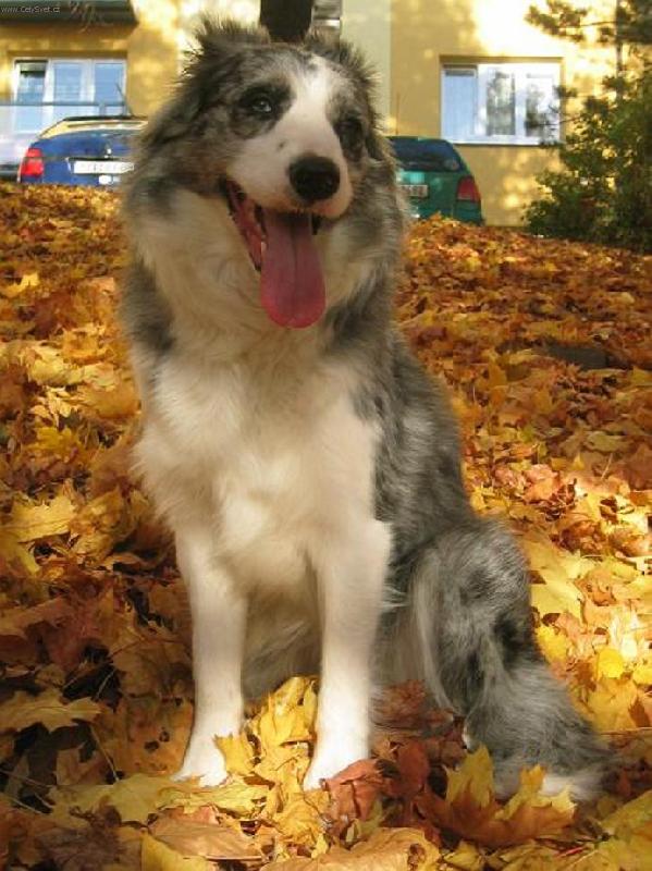 Foto: �t���tka-P�ekv�pko podzimu