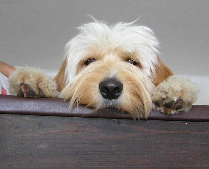 Foto: Mat�j-Prost� Mat�j...