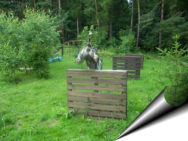 Foto: Bez koment��e